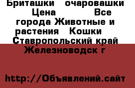 Бриташки - очаровашки.  › Цена ­ 3 000 - Все города Животные и растения » Кошки   . Ставропольский край,Железноводск г.